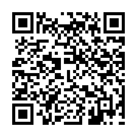 QR code for 291XPL