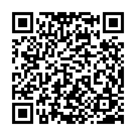 QR code for 291XSR