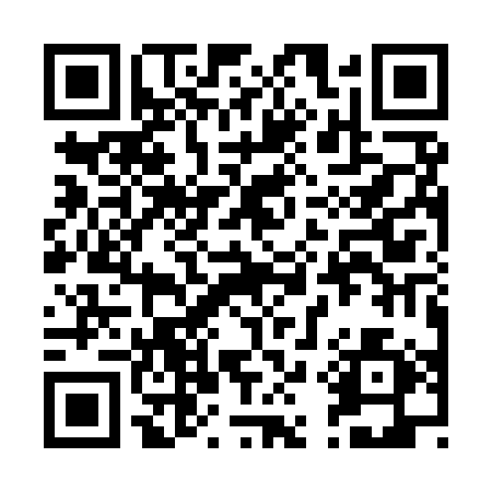 QR code for 291YSR