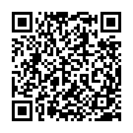 QR code for 291ZDS
