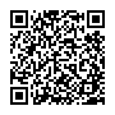 QR code for 293DMC