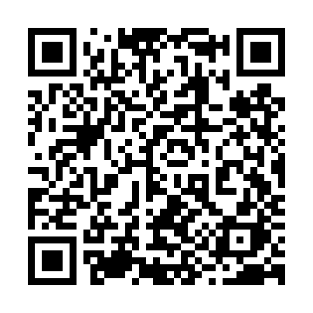 QR code for 293DZH