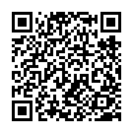 QR code for 293FMZ
