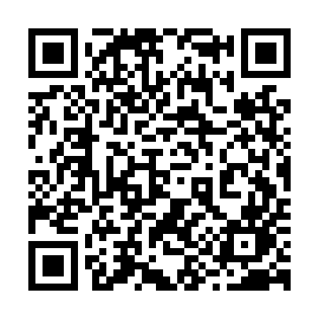 QR code for 293LUN