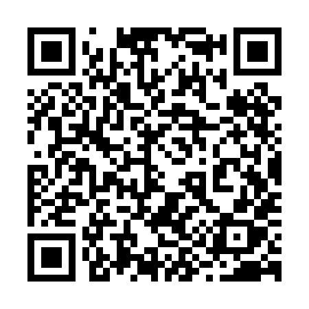 QR code for 293PHX