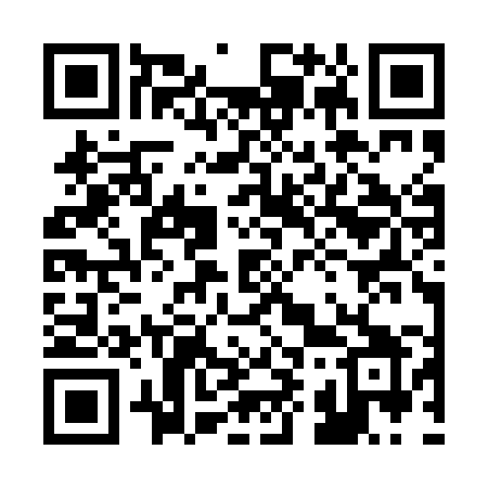 QR code for 293PMY