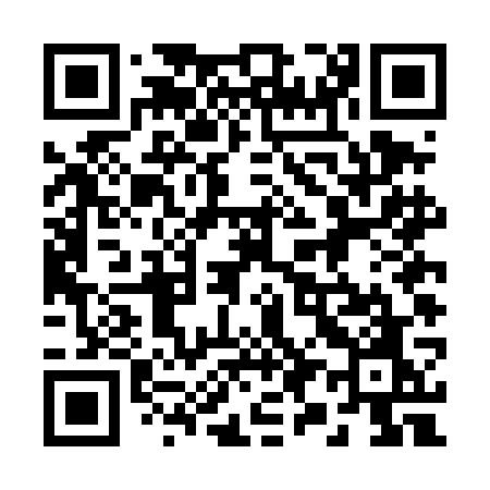 QR code for 294DGO