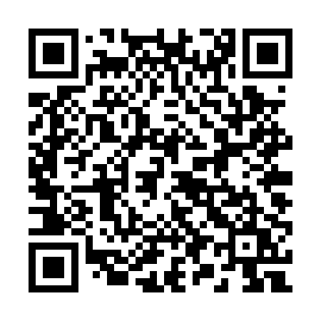 QR code for 294PPU