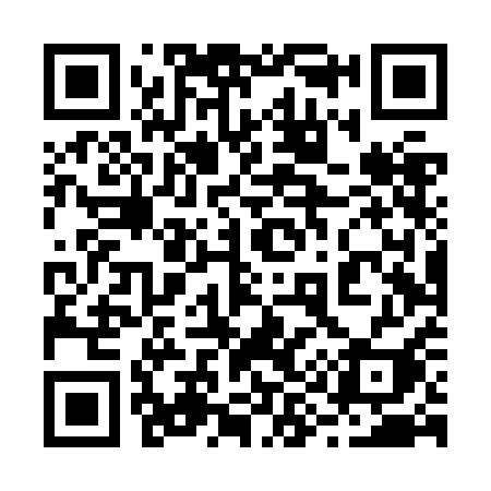 QR code for 294ZAI