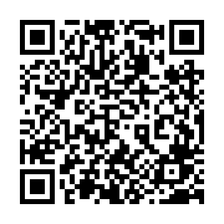 QR code for 295BTV