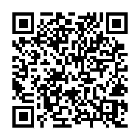 QR code for 295CMR