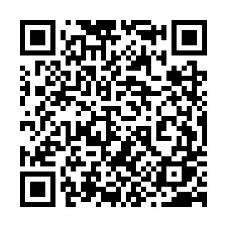 QR code for 295CTQ