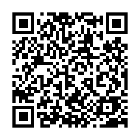 QR code for 295DSE