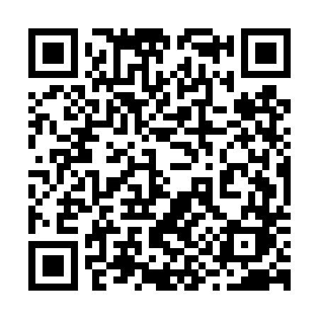 QR code for 295DTK