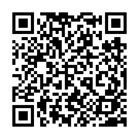 QR code for 295FUJ