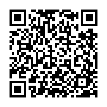 QR code for 295GDO