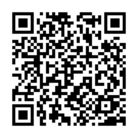QR code for 295HSU