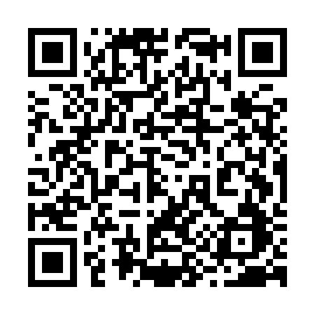 QR code for 295IRB