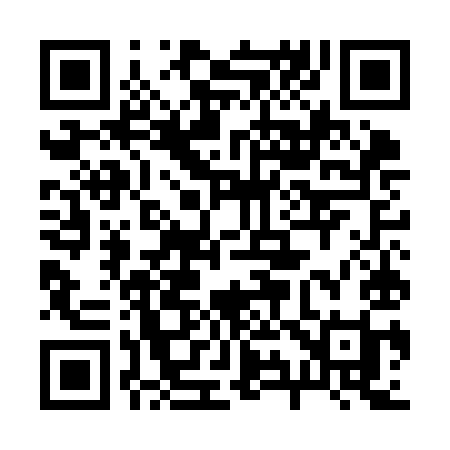 QR code for 295KII