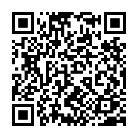 QR code for 295LBP