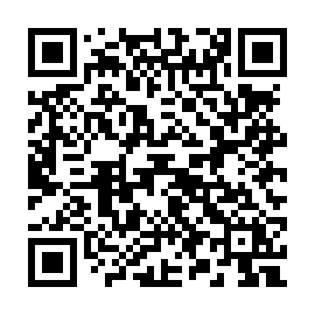 QR code for 295LRX