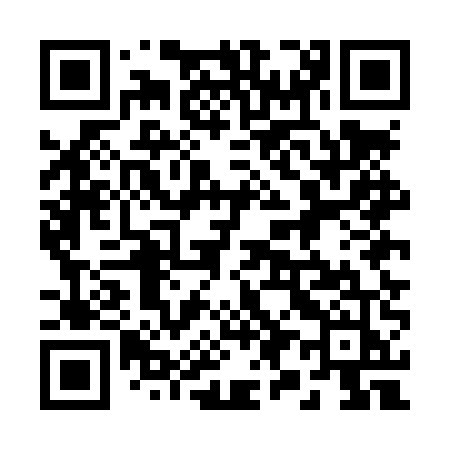 QR code for 295LUJ