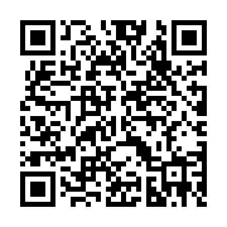 QR code for 295MEZ