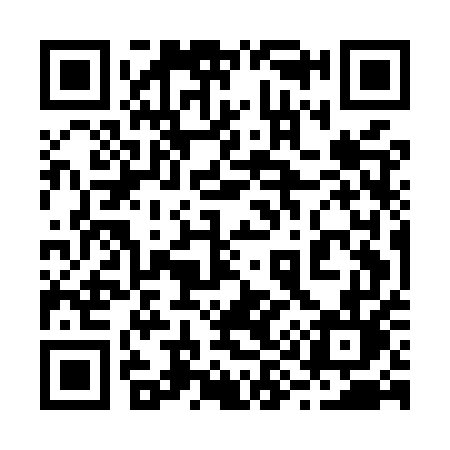 QR code for 295MUL