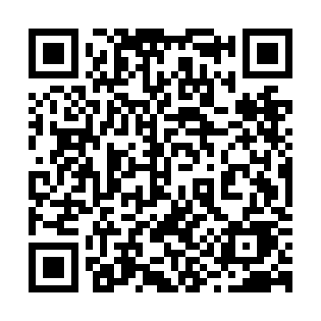 QR code for 295NKE