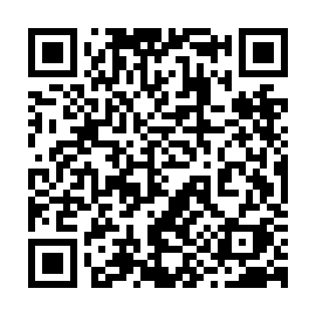 QR code for 295NKI