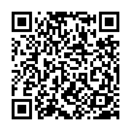 QR code for 295NVX
