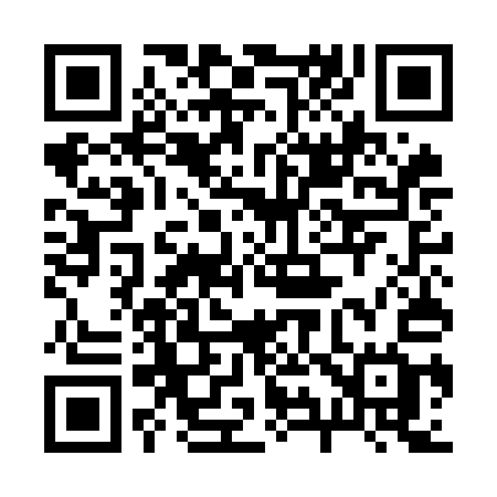 QR code for 295OAG