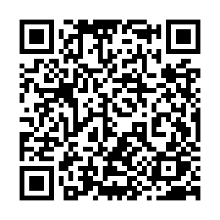 QR code for 295OZP