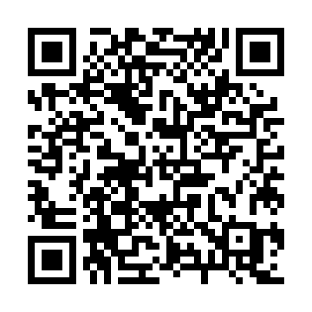 QR code for 295PJC