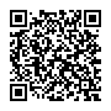 QR code for 295PYY