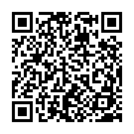 QR code for 295QFJ