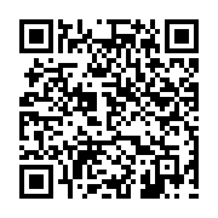QR code for 295RVG