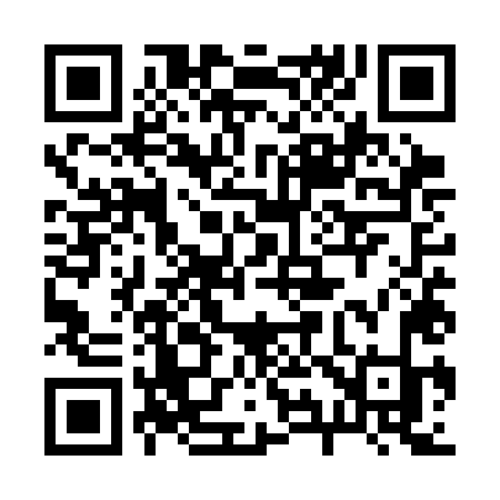 QR code for 295SLK