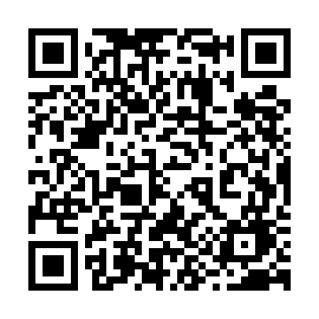 QR code for 295UGG