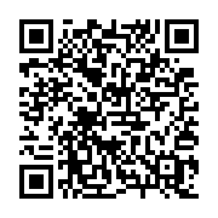 QR code for 295WAG