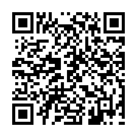 QR code for 295XKL