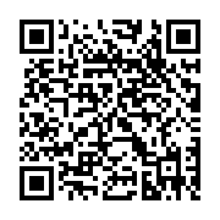 QR code for 295XTH