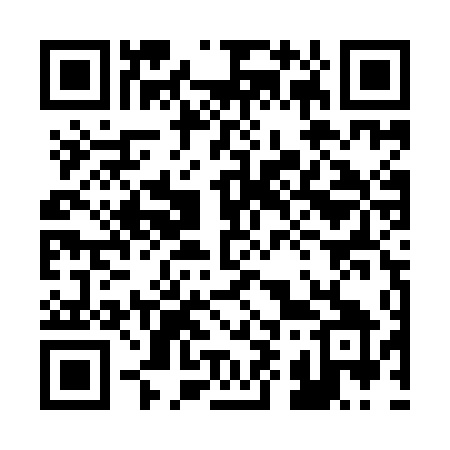 QR code for 295YDY
