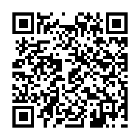 QR code for 295ZDR