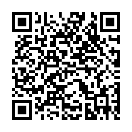 QR code for 295ZJA