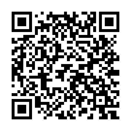 QR code for 295ZVM