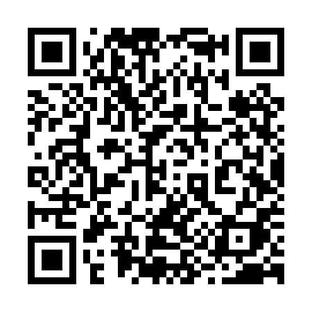 QR code for 296PPI