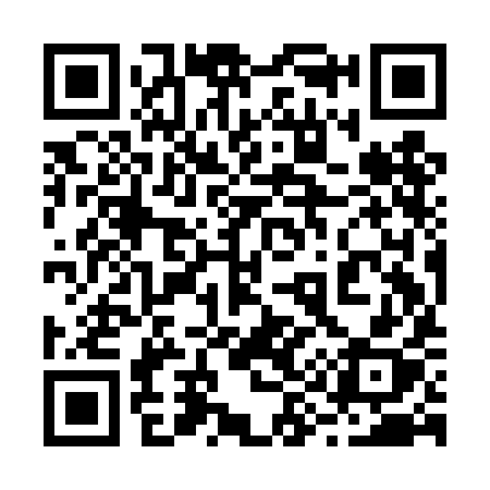 QR code for 299DIX