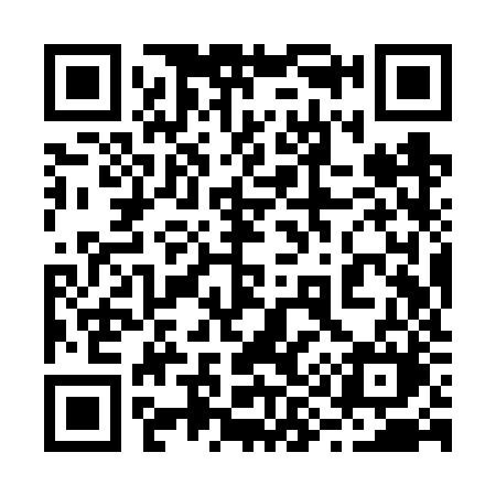 QR code for 299VZM