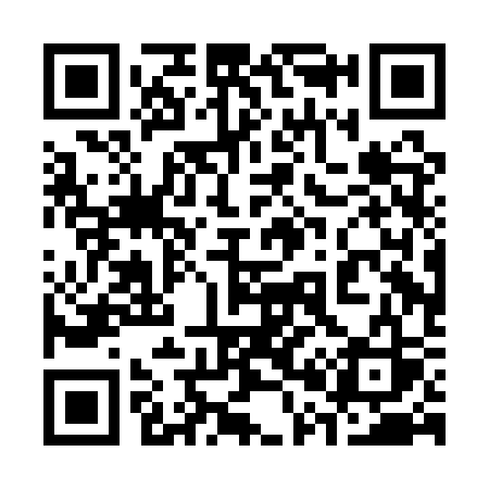 QR code for 300ASS